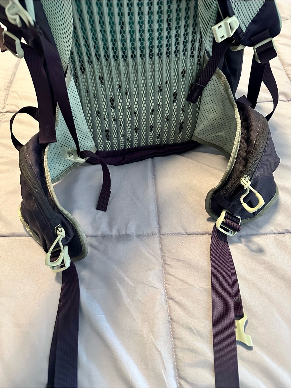 Gregory purple daypack with teal logo accents - Picture 11 of 14